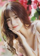 新严沉违的规律、组织规律、清廉规律和糊口纪